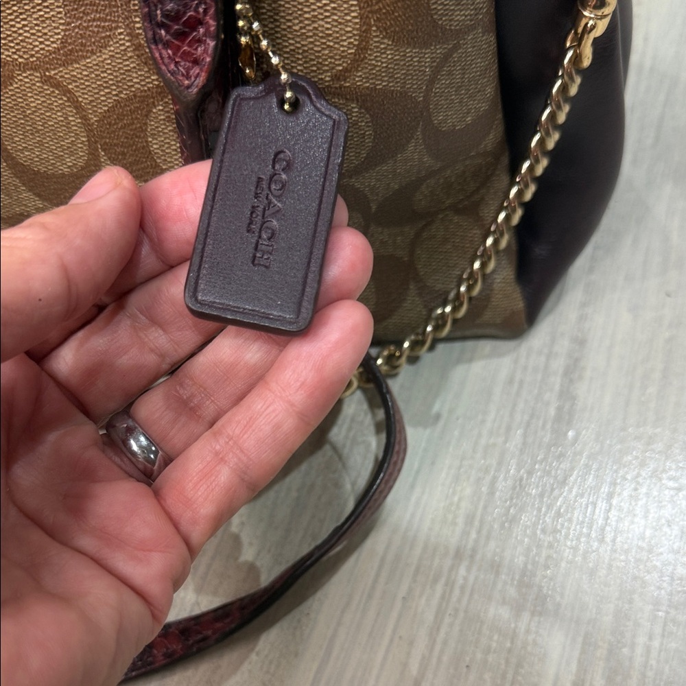 Coach Mini Rowan Sage Snake Carryall Satchel/Crossbody Bag π - Picture 3 of 14
